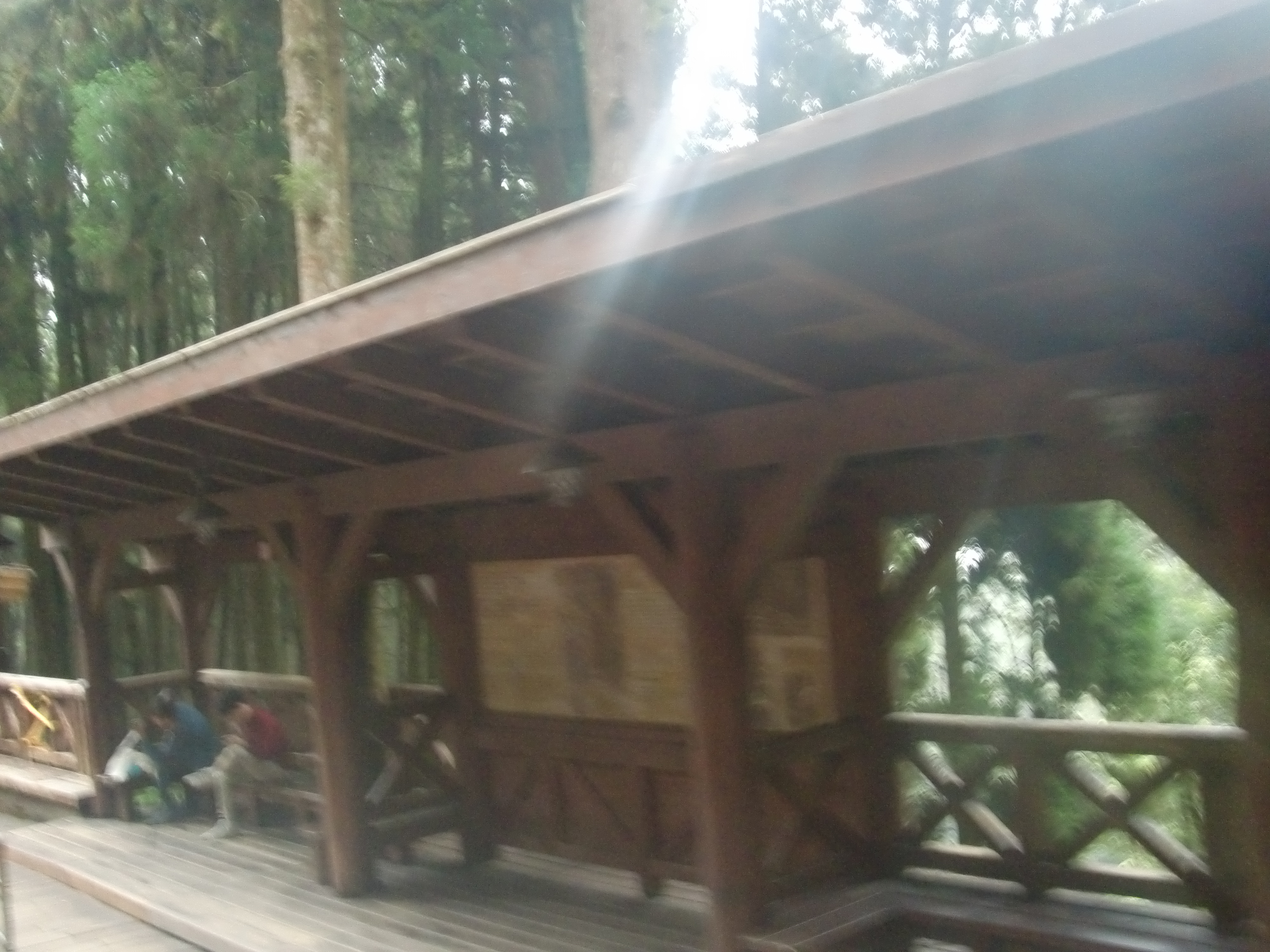 CIMG2844