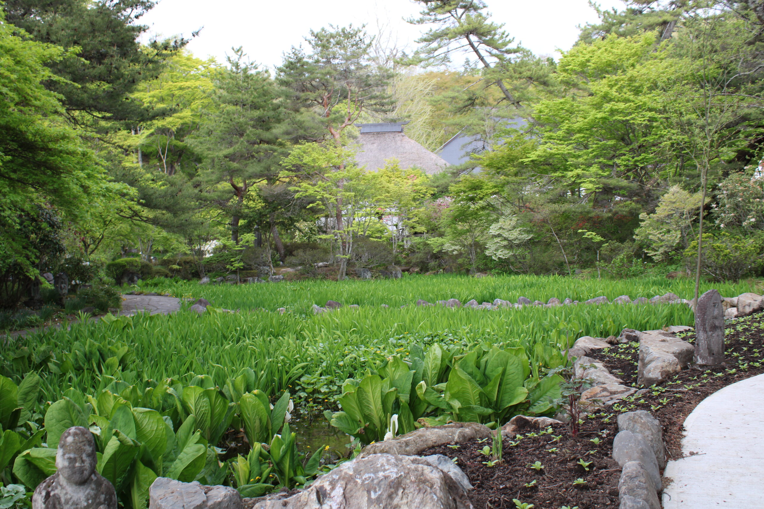 IMG_0363