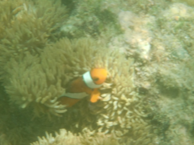 CIMG3056