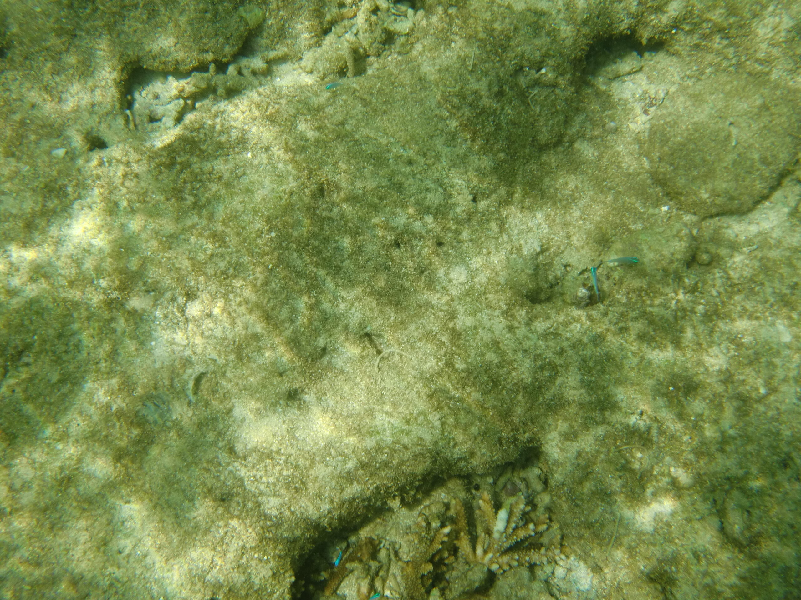CIMG3127