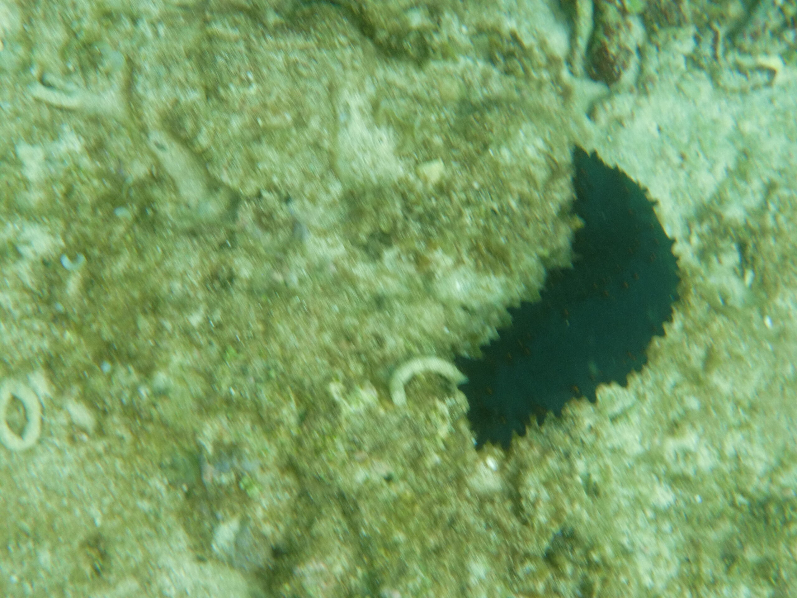 CIMG3143