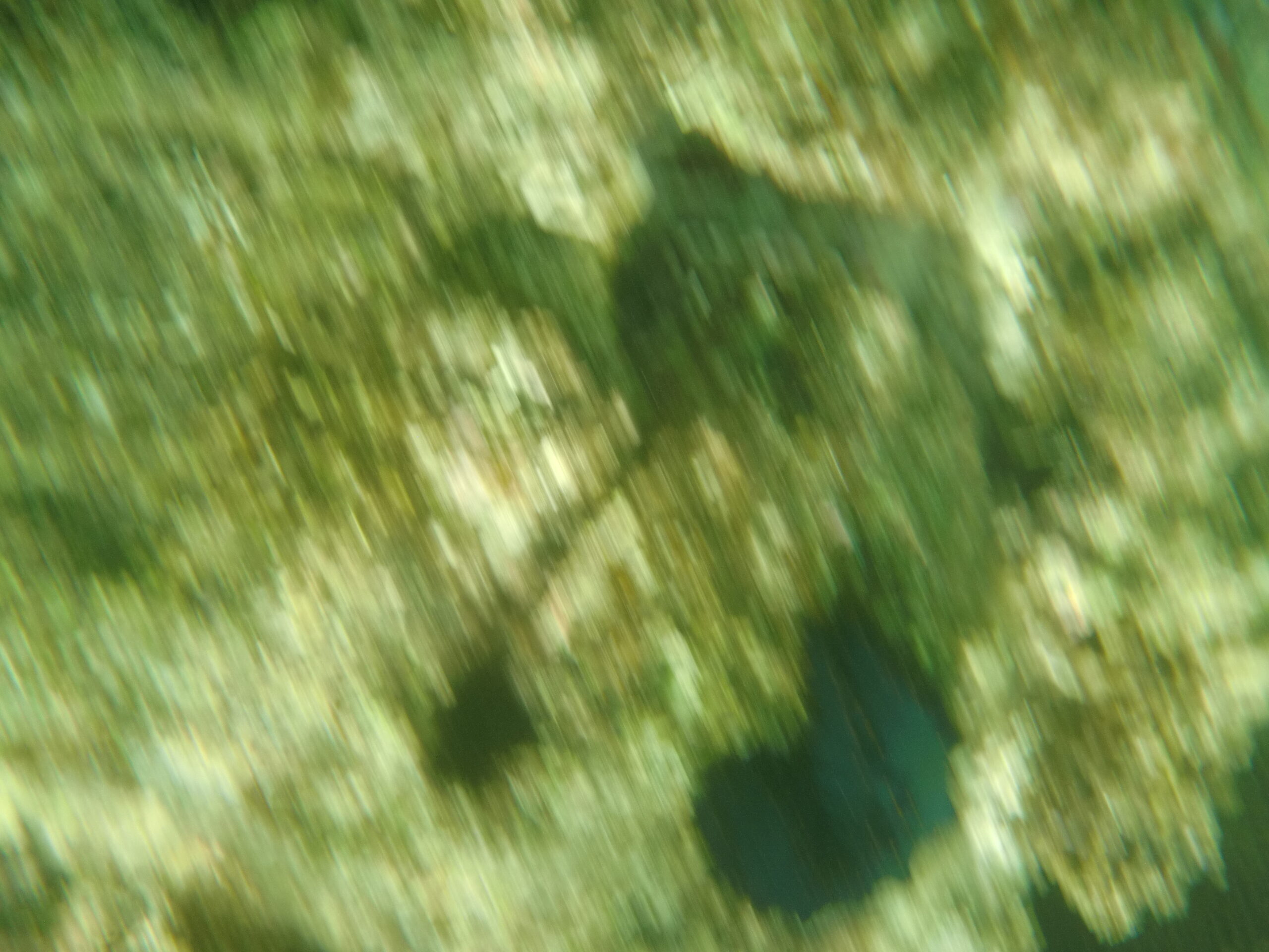 CIMG3144