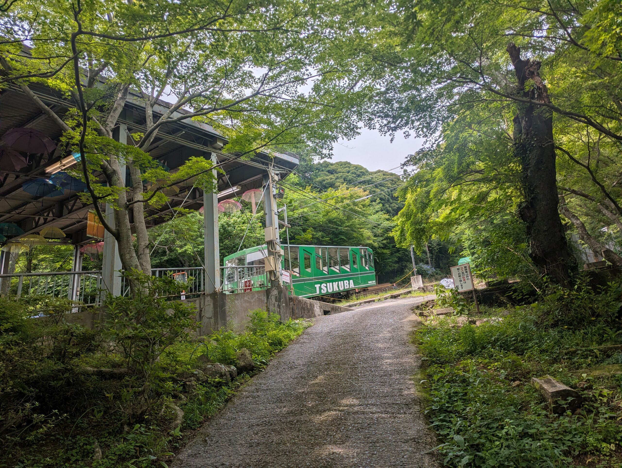 tsukubasan (120)