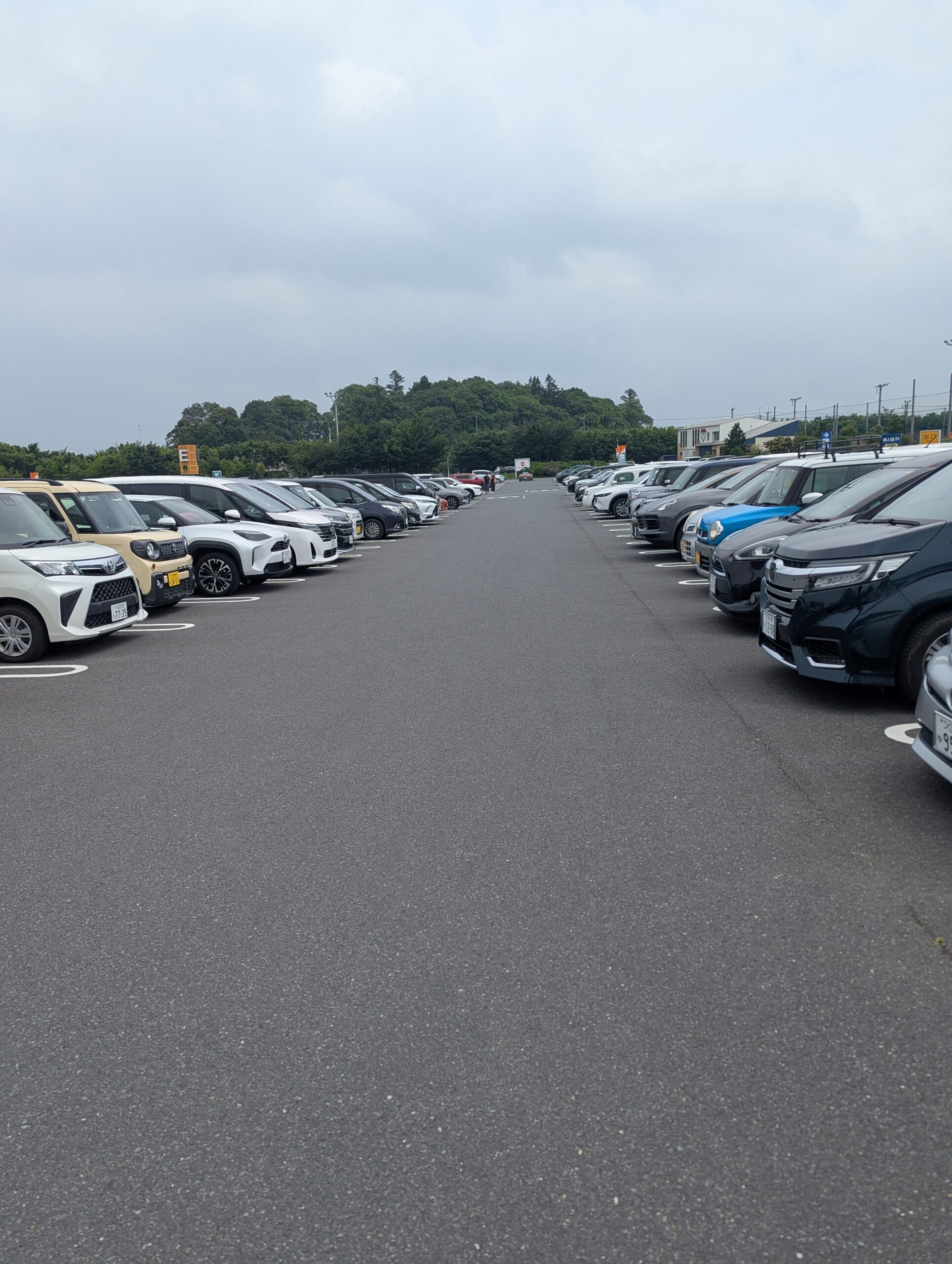 penny-lane-tsukuba (35)