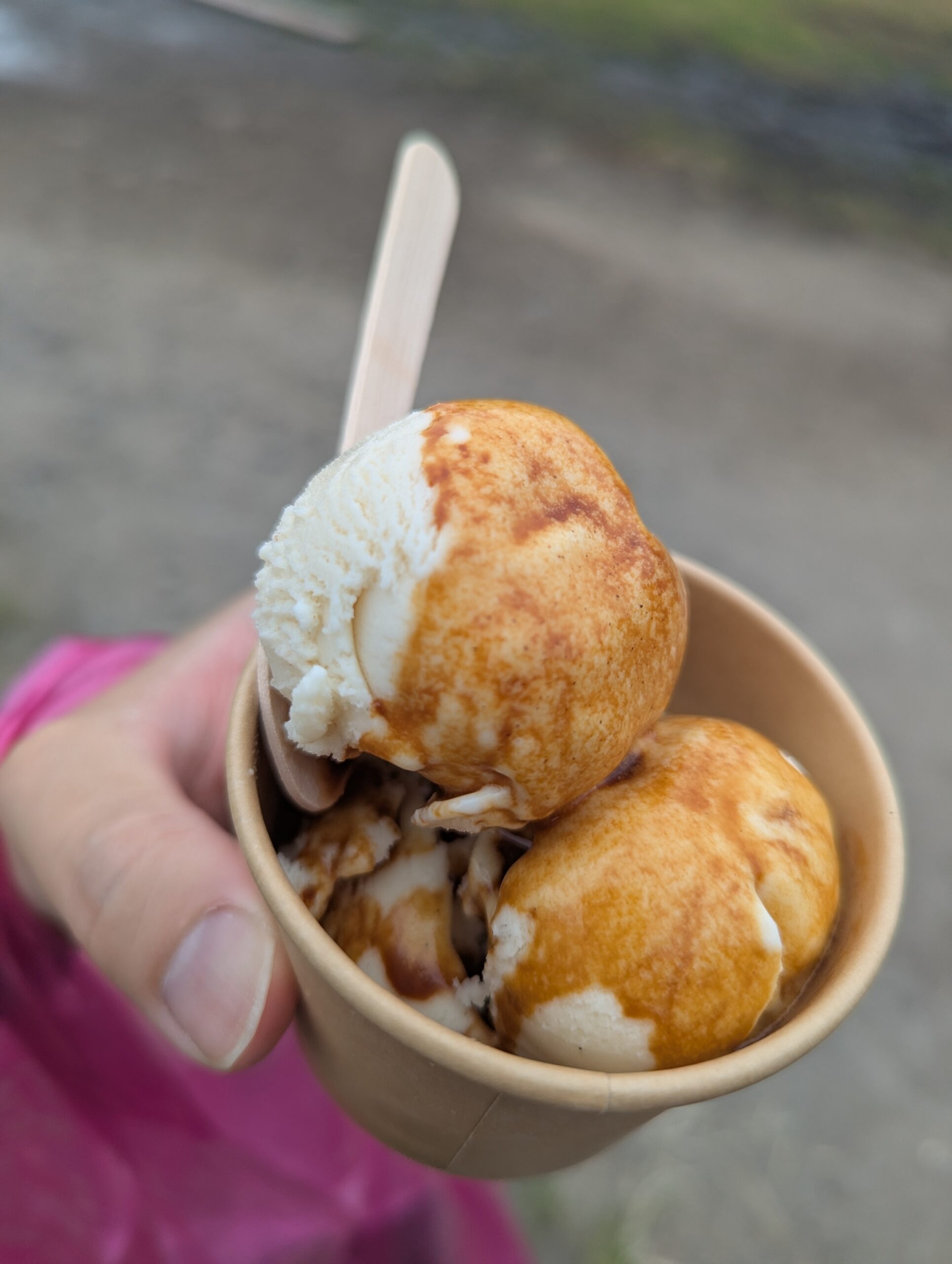village-market-tsukuba-bear`s (9)