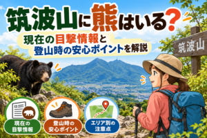 筑波山に熊はいる？現在の目撃情報と登山時の安心ポイントを解説するイラスト